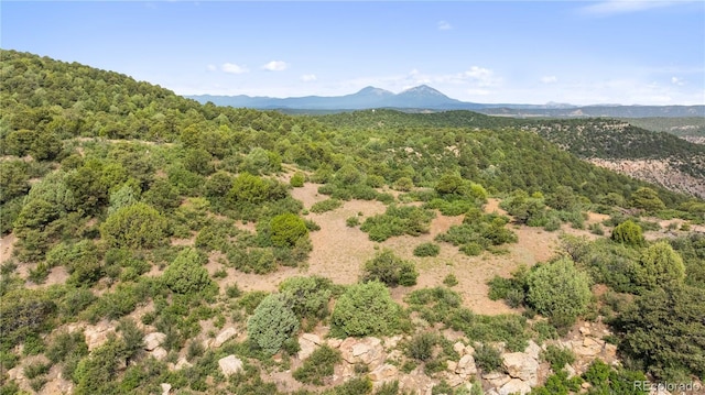 LOTSF Tollerburg Rd, Trinidad, CO 81082 - photo 19