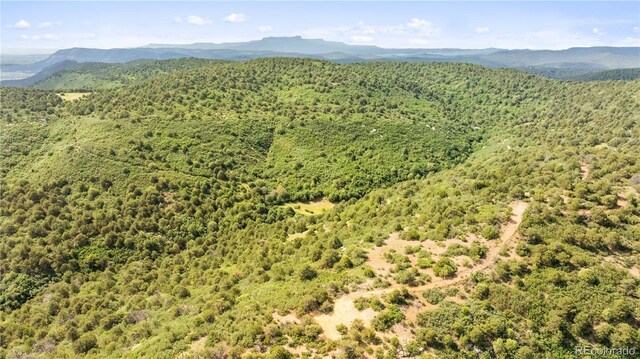 LOTSF Tollerburg Rd, Trinidad, CO 81082 - photo 20