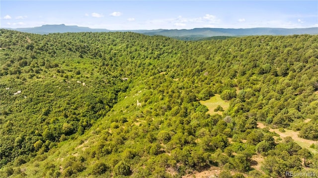 LOTSF Tollerburg Rd, Trinidad, CO 81082 - photo 21