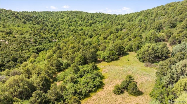 LOTSF Tollerburg Rd, Trinidad, CO 81082 - photo 22