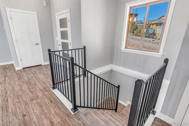 stairs with hardwood / wood-style flooring