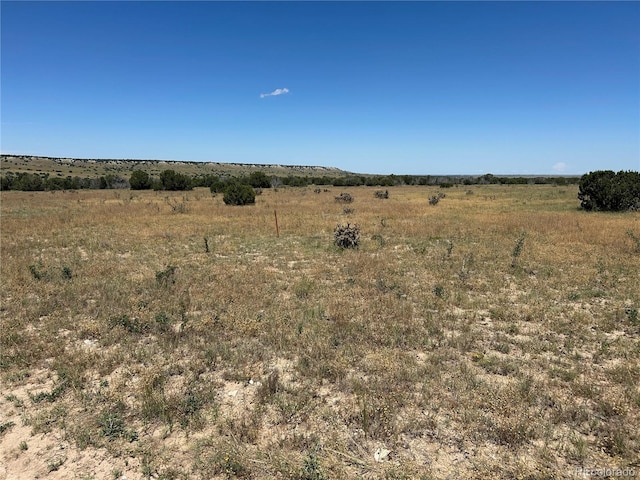LOT17 Longhorn Rnch, Model, CO 81059 - photo 3