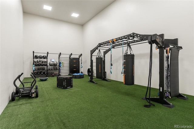 exercise room featuring carpet flooring, gas water heater, and a high ceiling