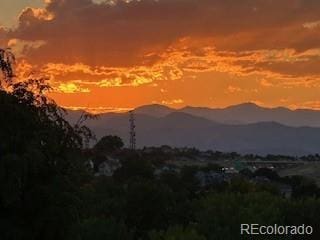 8627 Gold Peak Pl Unit C, Highlands Ranch, CO 80130 - view of mountain background