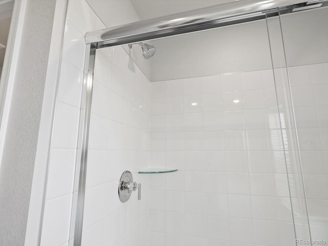 1134 Thunder Pass Rd, Severance, CO 80550 - bathroom view of tiled shower