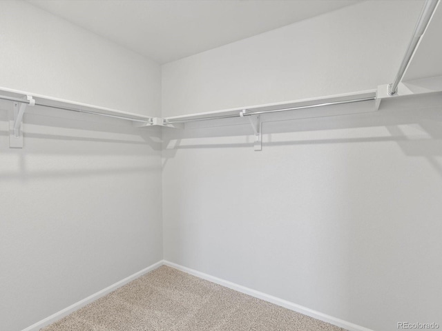 1134 Thunder Pass Rd, Severance, CO 80550 - spacious closet featuring carpet floors