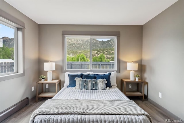 143 Brady Rd, Buena Vista, CO 81211 - bedroom featuring a baseboard radiator, wood finished floors, and baseboards