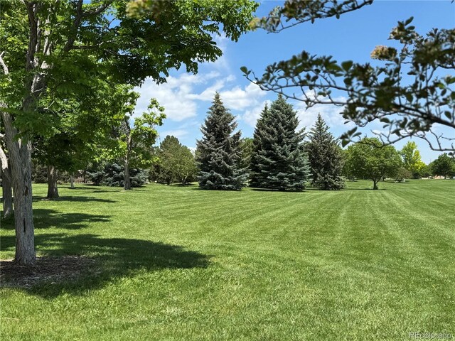 7755 E Quincy Ave Unit 206, Denver, CO 80237 - view of green lawn