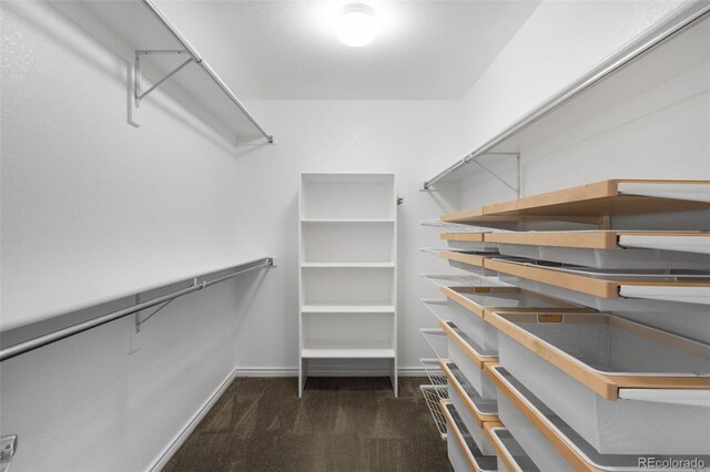 spacious closet with carpet floors