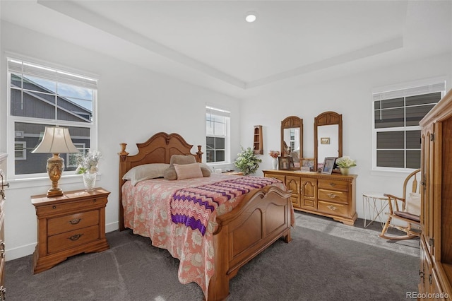 carpeted bedroom with a raised ceiling and multiple windows