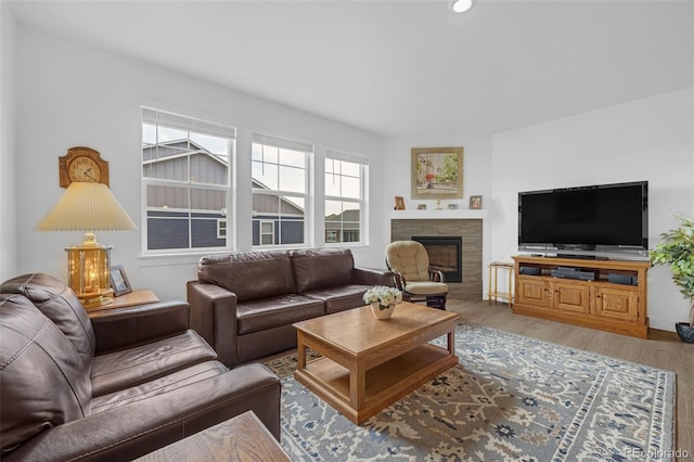 living room featuring a fireplace and wood-type flooring