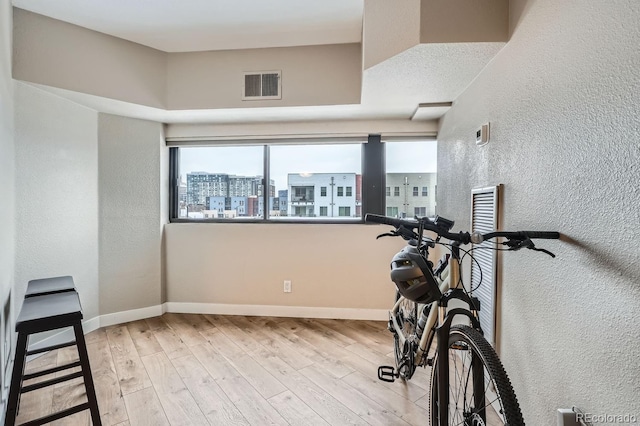 workout area featuring light hardwood / wood-style floors and a healthy amount of sunlight