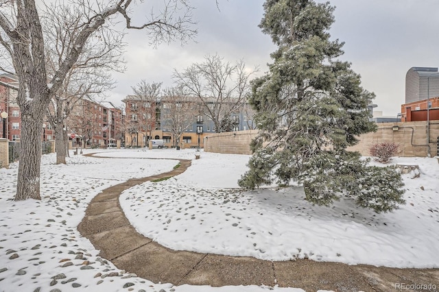 view of yard layered in snow