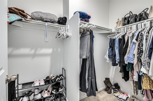 spacious closet featuring carpet flooring