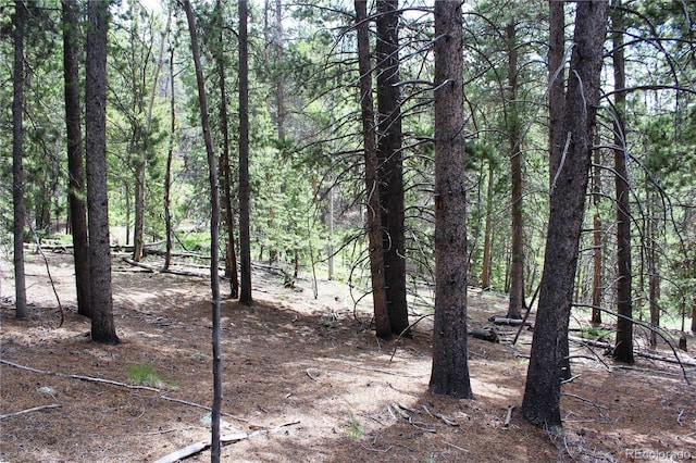Wild Wagoner Trl, Dumont, CO 80436