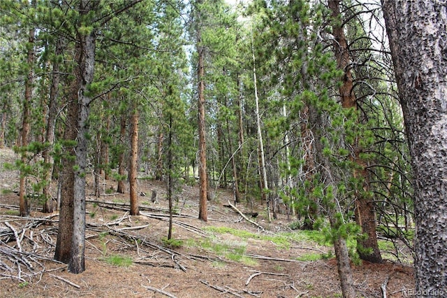 Wild Wagoner Trl, Dumont, CO 80436