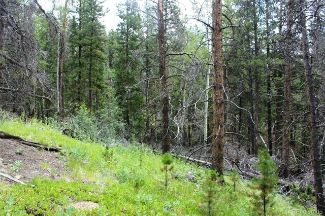 Wild Wagoner Trl, Dumont, CO 80436