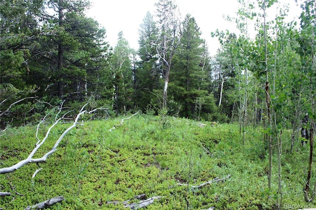 Wild Wagoner Trl, Dumont, CO 80436