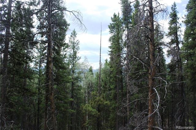 Wild Wagoner Trl, Dumont, CO 80436