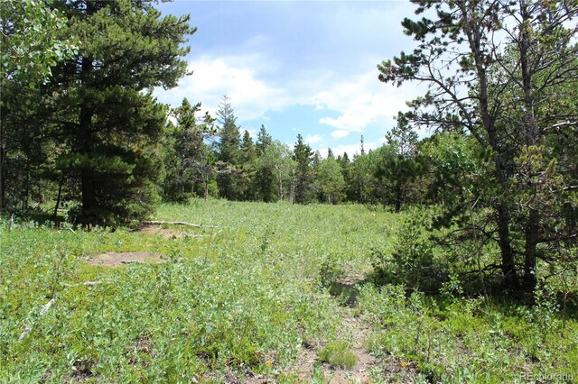 Wild Wagoner Trl, Dumont, CO 80436