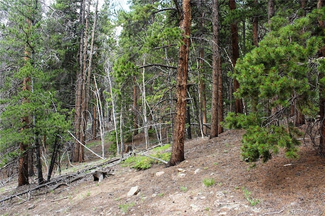 Wild Wagoner Trl, Dumont, CO 80436