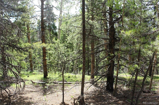 Wild Wagoner Trl, Dumont, CO 80436