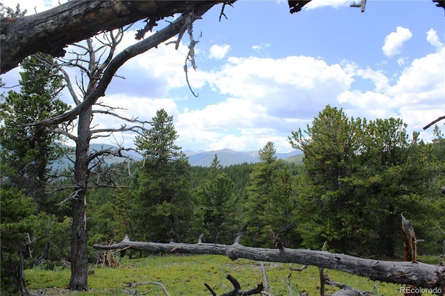 Wild Wagoner Trl, Dumont, CO 80436