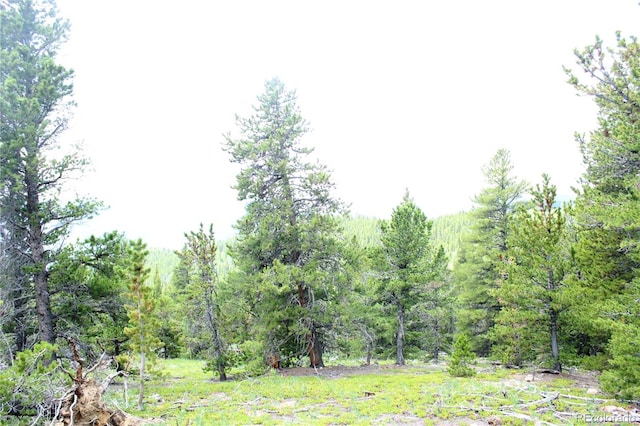 Wild Wagoner Trl, Dumont, CO 80436
