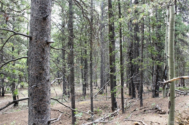 Wild Wagoner Trl, Dumont, CO 80436