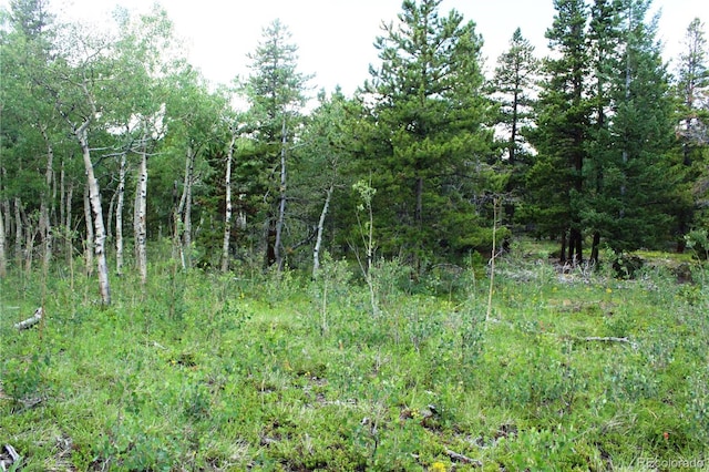 Wild Wagoner Trl, Dumont, CO 80436