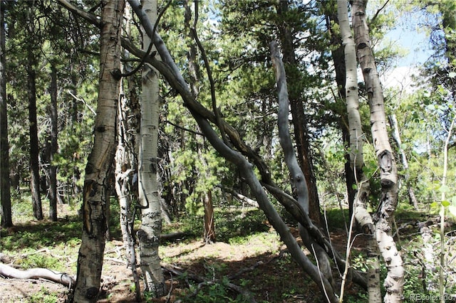 Wild Wagoner Trl, Dumont, CO 80436
