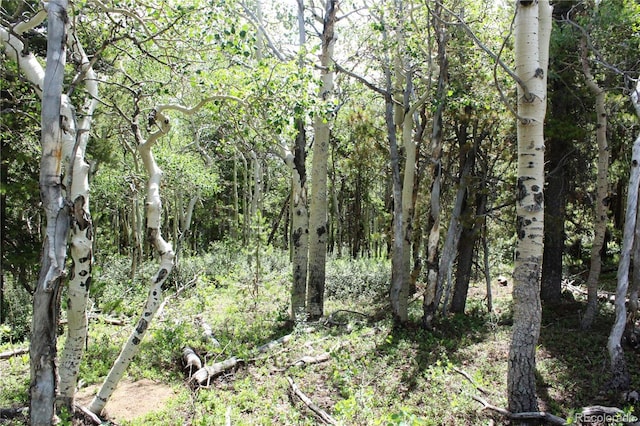 Wild Wagoner Trl, Dumont, CO 80436