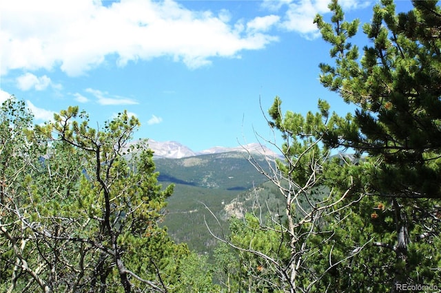 Wild Wagoner Trl, Dumont, CO 80436