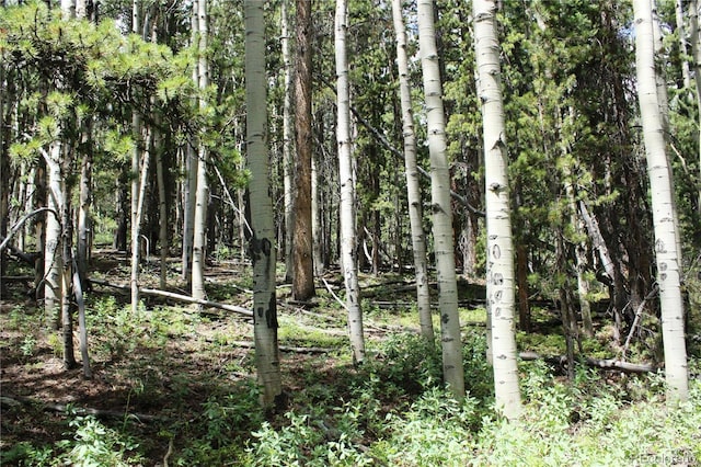 Wild Wagoner Trl, Dumont, CO 80436