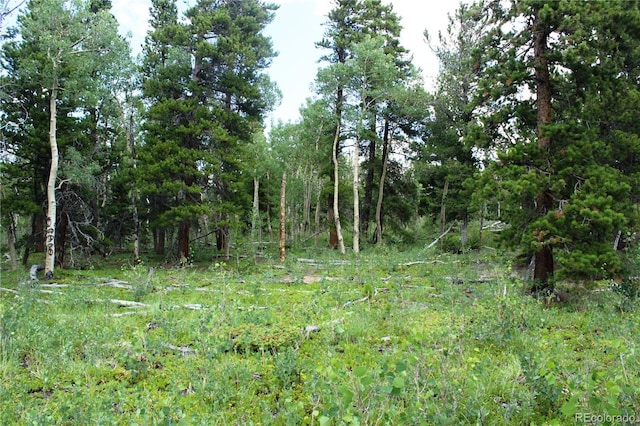 Wild Wagoner Trl, Dumont, CO 80436