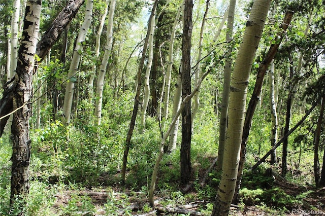 Wild Wagoner Trl, Dumont, CO 80436