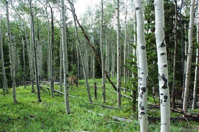 Wild Wagoner Trl, Dumont, CO 80436