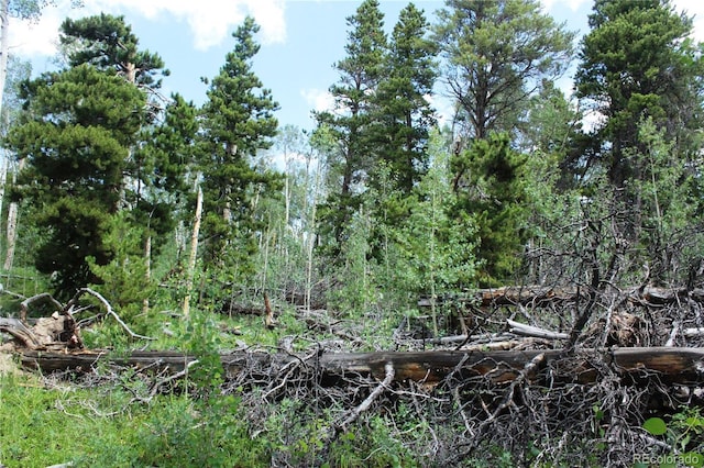 Wild Wagoner Trl, Dumont, CO 80436