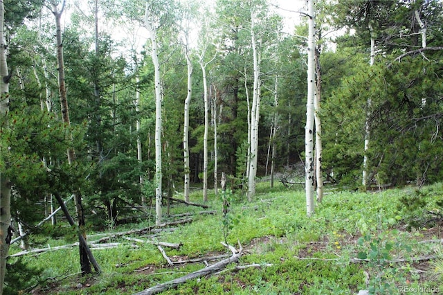 Wild Wagoner Trl, Dumont, CO 80436