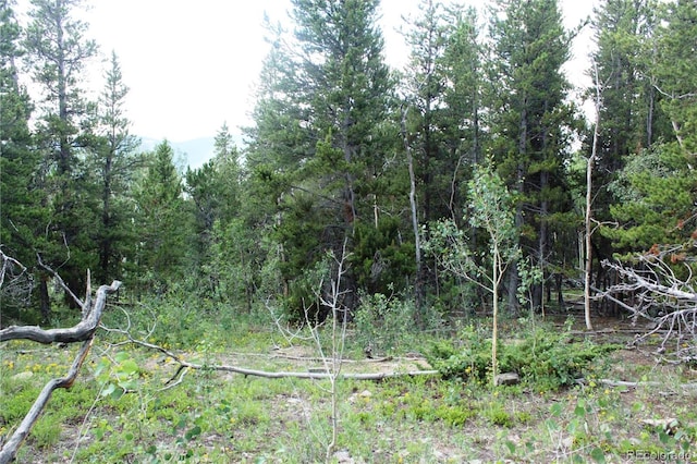 Wild Wagoner Trl, Dumont, CO 80436