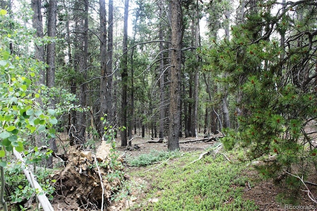 Wild Wagoner Trl, Dumont, CO 80436