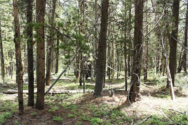 Wild Wagoner Trl, Dumont, CO 80436