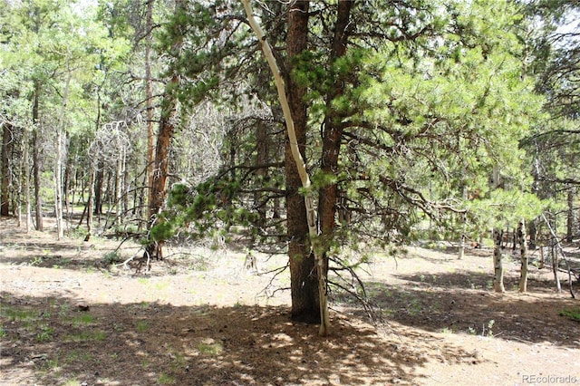 Wild Wagoner Trl, Dumont, CO 80436