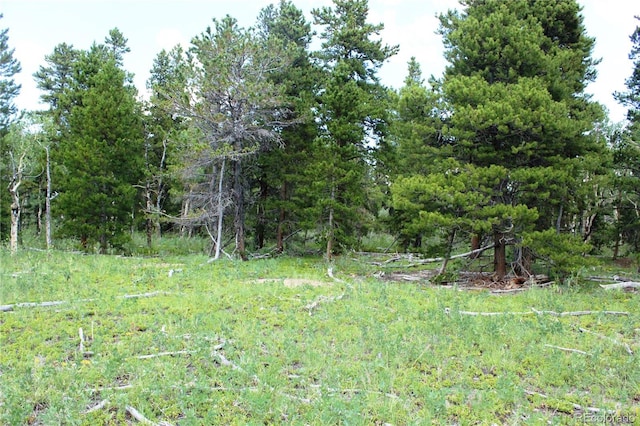 Wild Wagoner Trl, Dumont, CO 80436