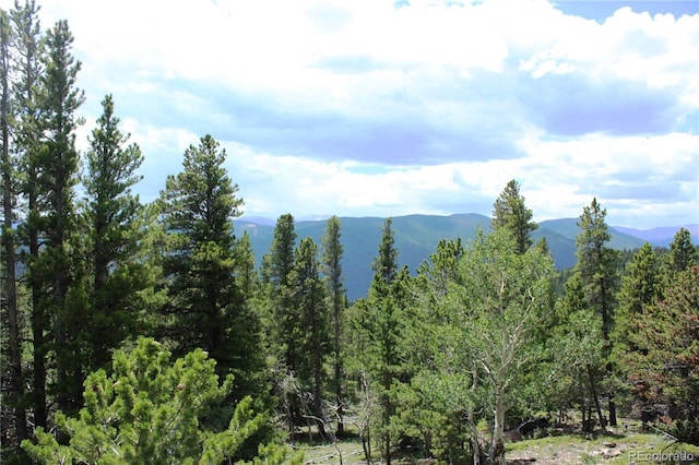 Wild Wagoner Trl, Dumont, CO 80436