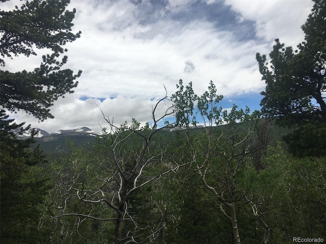 Wild Wagoner Trl, Dumont, CO 80436