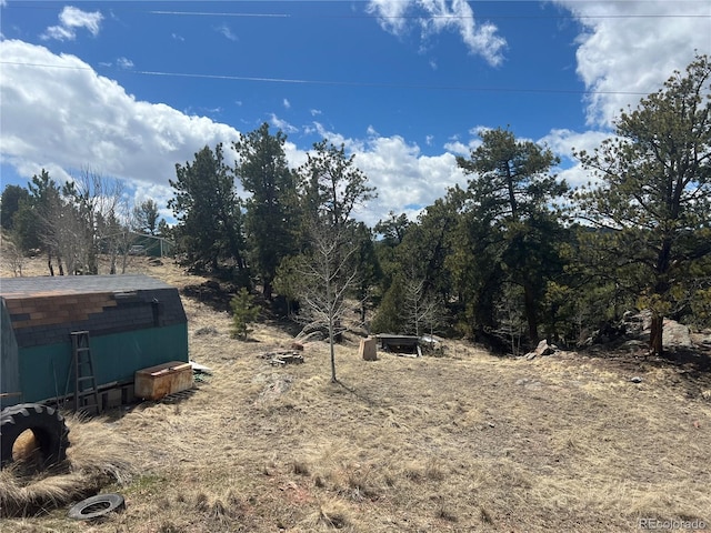 view of yard with a storage shed