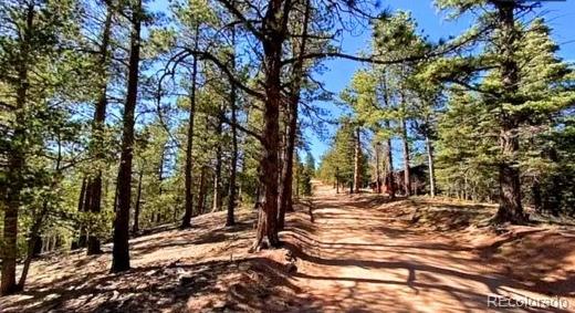 130 Rosita Dr, Rye, CO 81252