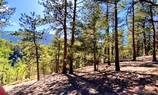 130 Rosita Dr, Rye, CO 81252