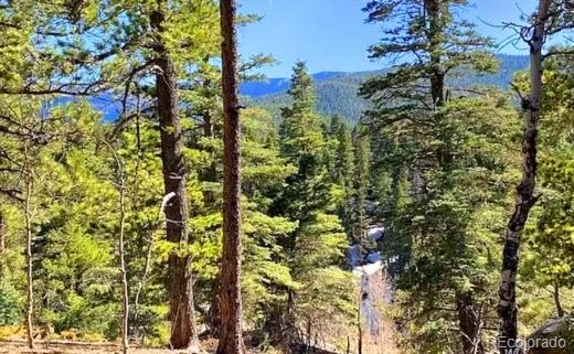 130 Rosita Dr, Rye, CO 81252